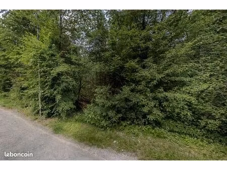 terrain non constructible breuillet (91)