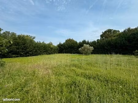 terrain 1 373 m² saint papoul