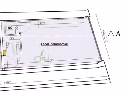 local professionnel refait à neuf avec vitrine