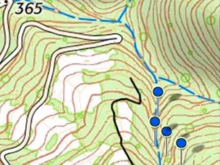 1 75 hectares bois feuillus nc 12600 murols