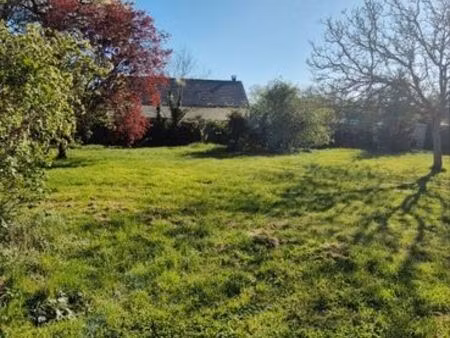 terrain constructible