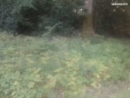 parcelle boisée pour loisirs