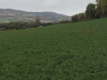 maison neuve à construire a tallard