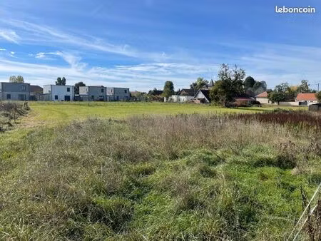 terrain constructible