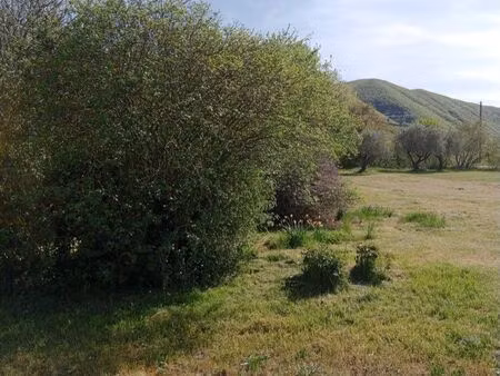 du terrain  un hangar  des dépendances… et un vrai potentiel de projet