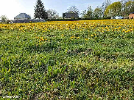 terrain constructible et viabilisé