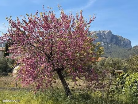 terrain 383 m² toulon