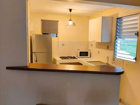 ? bas de villa t1 bis – pointe savane