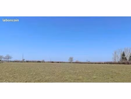 terrain constructible lax