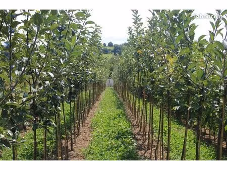 terrain agricole 1 hectare