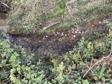 vend terrain 1hectare300