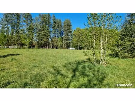 terrain constructible 2500 m2