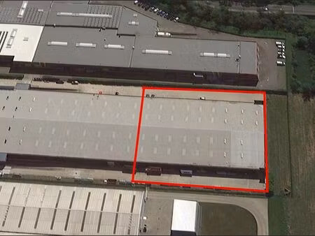 bien professionnel à louer à herentals € 11.670 (lmx87) - mertens vastgoed | zimmo