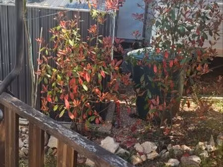 urgent tres belle parcelle