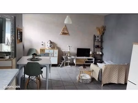 appartement 45m2 garage sécurisé vierzon village