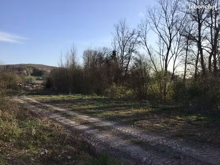 terrain quatre-champs 82 ares