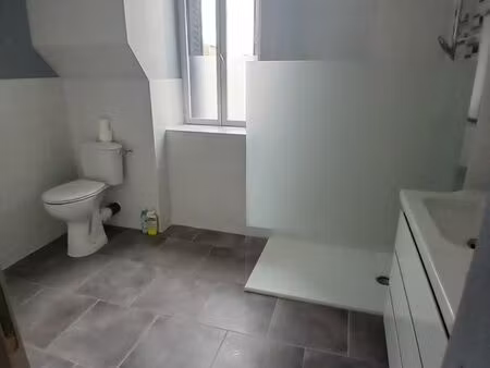 appartement   maison de ville