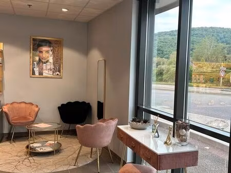 local professionnel à louer - idéal osthéopathe débutant (faible loyer)