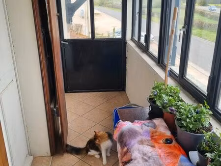 grand t2 50m2/ jardin / cave / place de parking