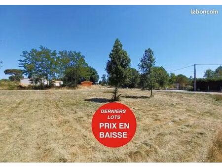 terrain 985 m2 intégralement constructible - montguyon