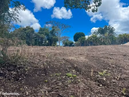 terrain à vendre st francois