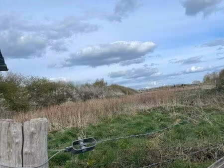 terrain herbage près