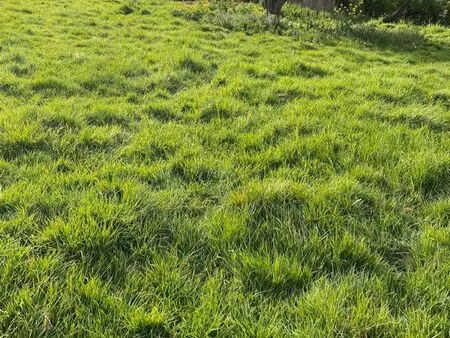 av 2 terrain à bâtir