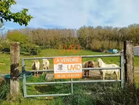 vente terrain 4500 m² à le blanc (36300)  46 750 €