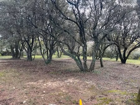 superbe terrain constructible au coeur d'une cheneraie