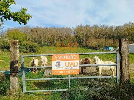 vente terrain 4500 m² à le blanc (36300)  50 000 €