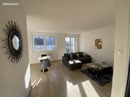appartement meublé 40 m² avec balcon  cave et grand jardin
