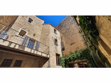 caractère  cour  garage et terrasses!