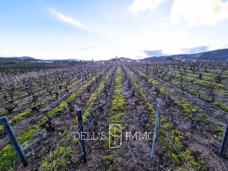 aop morgon et chiroubles