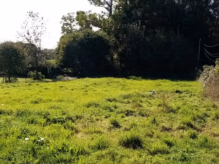 terrain à vendre cany barville 1334m2 48 000€