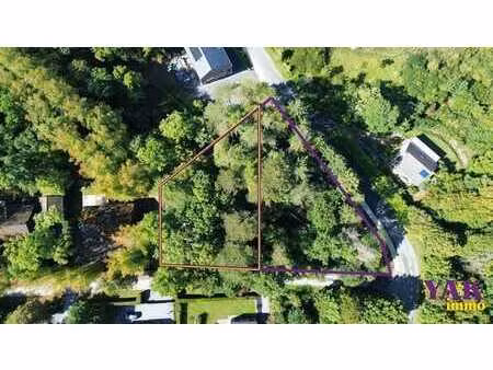 superbe terrain boisé de +/- 15ares avec avis de principe