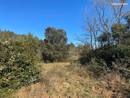 terrain agricole 2 4 hectares