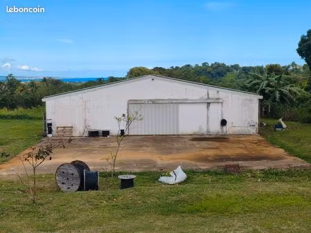 hangar 200m2 + dalle 200m2