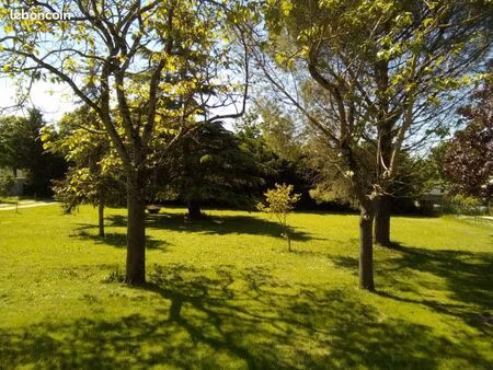 terrain d'exception arboré de 417 m² a vendre