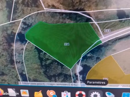 terrain et bois / taillis