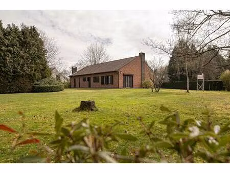 huis te koop in schilde met 2 slaapkamers