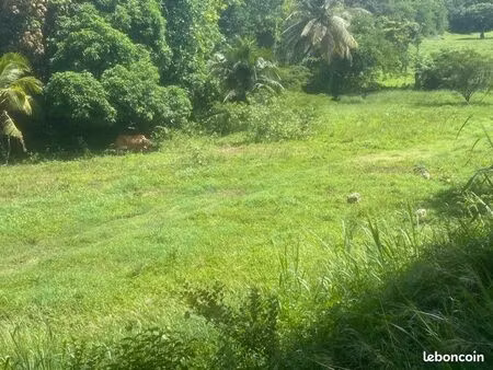 terrain 952 m² le gosier – constructible viabilisé – opportunité