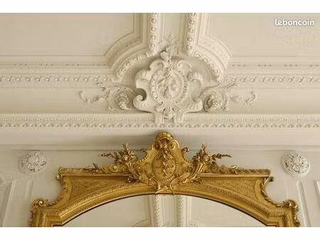 emplacement n°1 : appartement+parking pour bureaux ou cabinets  en hôtel particulier