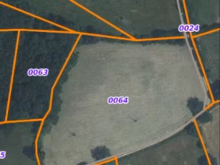 terrain+bois à vendre