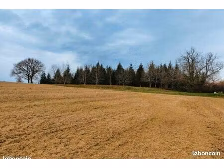 terrain constructible de 22 463 m² à estang (gers) – idéal investisseur ou projet immobili