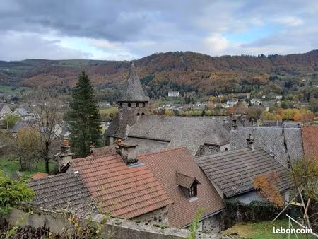 vic sur cère terrain vue imprenable