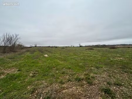 terrain agricole 12910m2 - murviel-lès-béziers