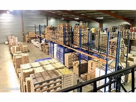 entrepôt 1042m2 + terrain