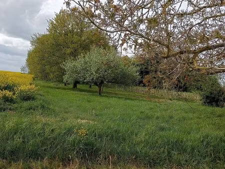 vend terrain dont une partie boisée