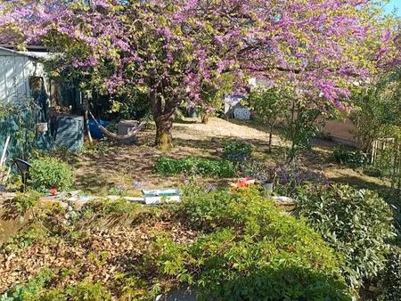 grande maison avec jardin centre ville