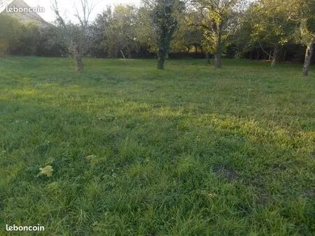 terrain constructible